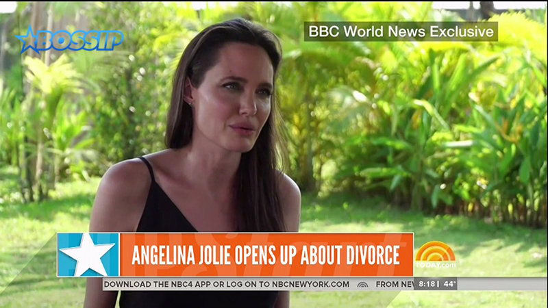 Angelina Jolie, United States_WENN