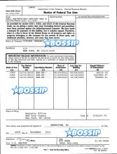 tax documents for Vincent Herbert Tamar Braxton's husband