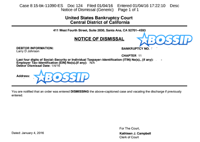 larry johnson bankruptcy papers