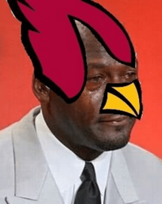 Page 5 of 20 - Funniest Memes From The Panthers-Cardinals Beatdown