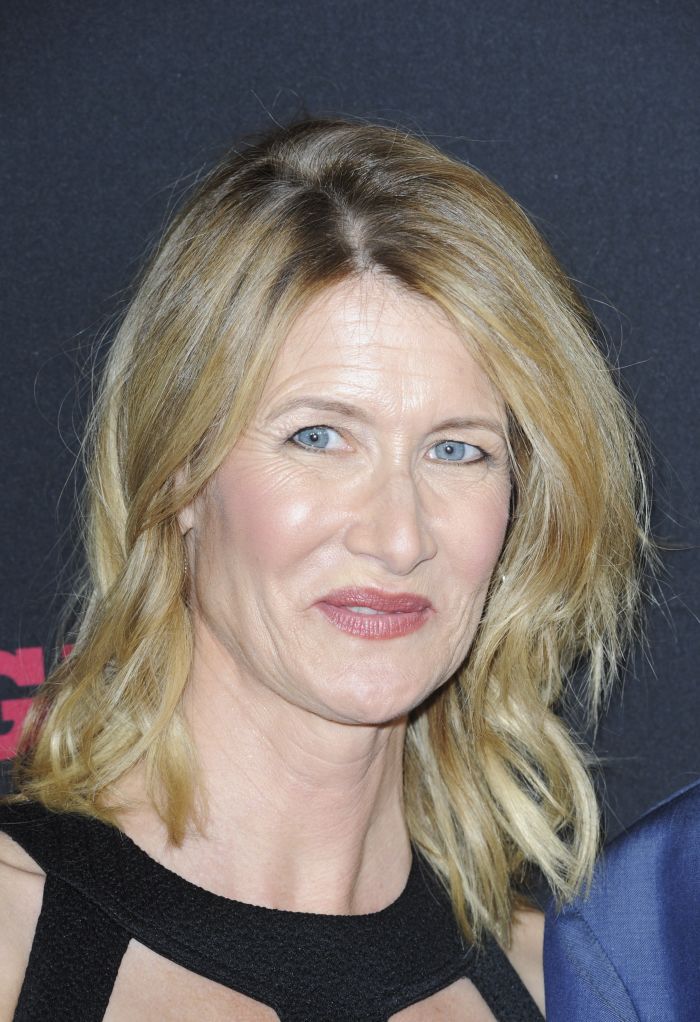 The Hateful Eight premiere at ArcLight Hollywood Cinerama Dome - Arrivals Featuring: Laura Dern Where: Los Angeles, California, United States When: 08 Dec 2015 Credit: Apega/WENN.com