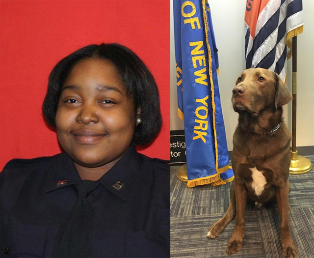 department of corrections