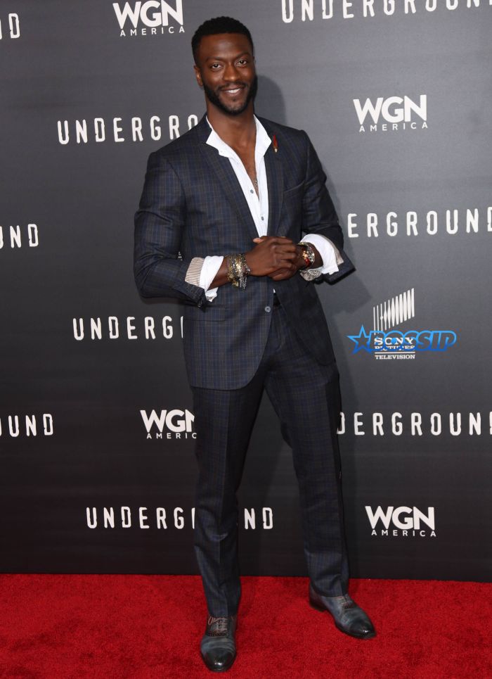 DeWanda Wise and Alano Miller are seen attending WGN America's 'Underground' World Premiere in Los Angeles, California. Pictured: Aldis Hodge Ref: SPL1240485 020316 Picture by: gotpap/Bauergriffin.com 