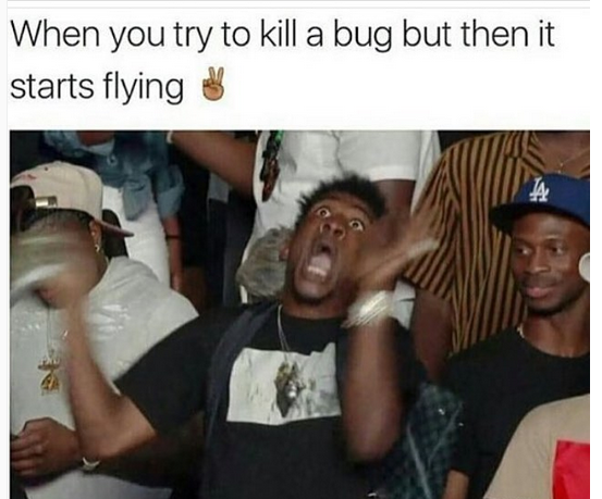 bugflying