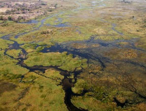 okavango-delta botswana
