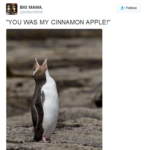cinnamonapple