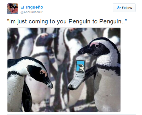 penguintopenguin