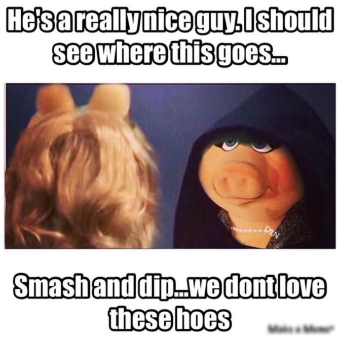 Miss piggy Memes Are Hilarious