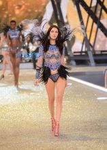 Bella Hadid WENN 2016 Victoria's Secret Fashion Show at the Grand Palais