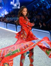Joan Smalls WENN 2016 Victoria's Secret Fashion Show at the Grand Palais