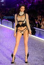 Kendall Jenner WENN 2016 Victoria's Secret Fashion Show at the Grand Palais