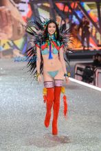 WENN 2016 Victoria's Secret Fashion Show at the Grand Palais