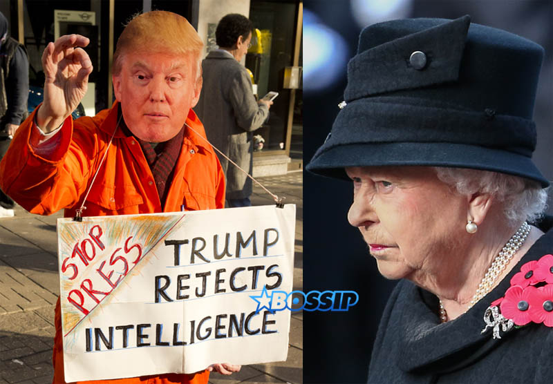 WENN Donald Trump Women's March Protester in London Queen Elizabeth