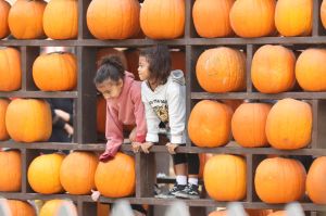 North West Ryan Romulus