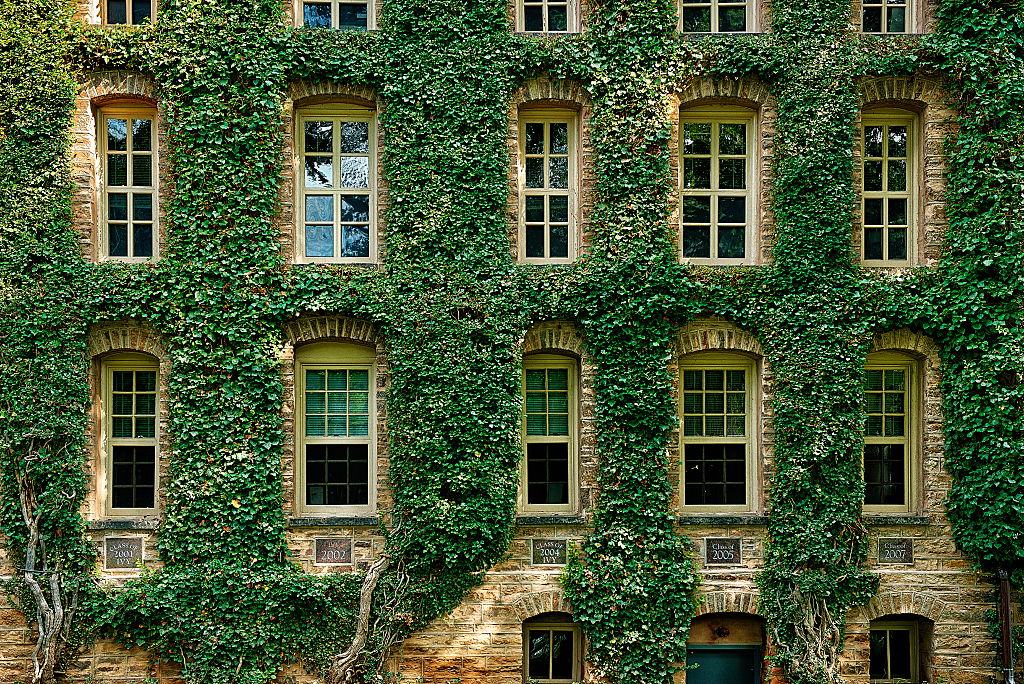 Ivy covered information building at Princeton University. 