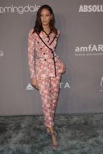 Arrivals at the 20th Annual amfAR Gala New York, the Foundation's benefit for AIDS, which took place at Cipriani Wall Street in New York, NY