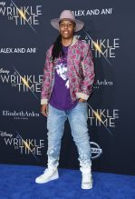 Lena Waithe February 26, 2018 - Los Angeles, California, United States - February 26h 2018 - Los Angeles, California USA - The ''A Wrinkle In Time'' Premiere held at the El Capitan Theater, Hollywood, Los Angeles.
