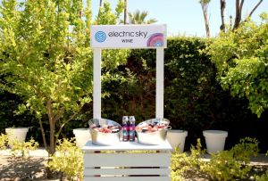 PALM SPRINGS, CA - APRIL 14: electric sky wine at Interscope Coachella House 2018 on April 14, 2018 in Palm Springs, California.