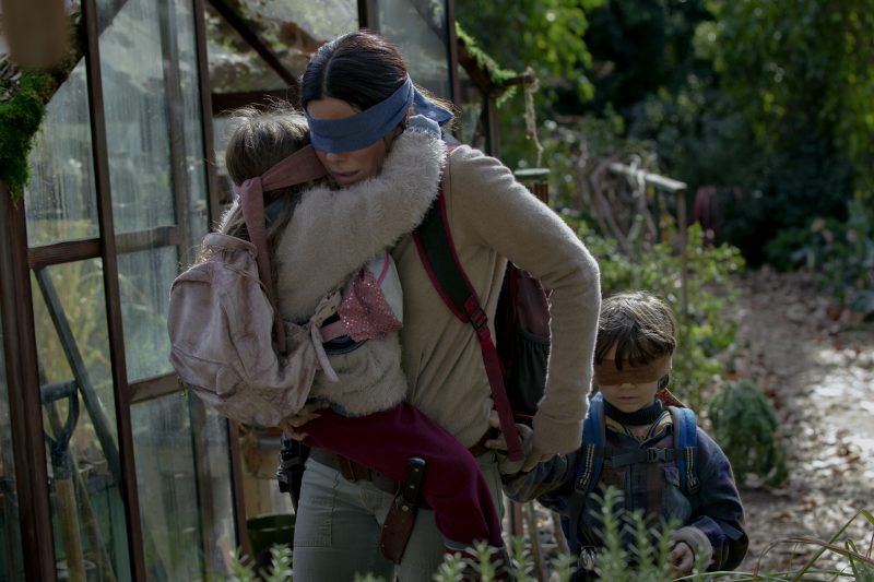 Sandra Bullock Birdbox