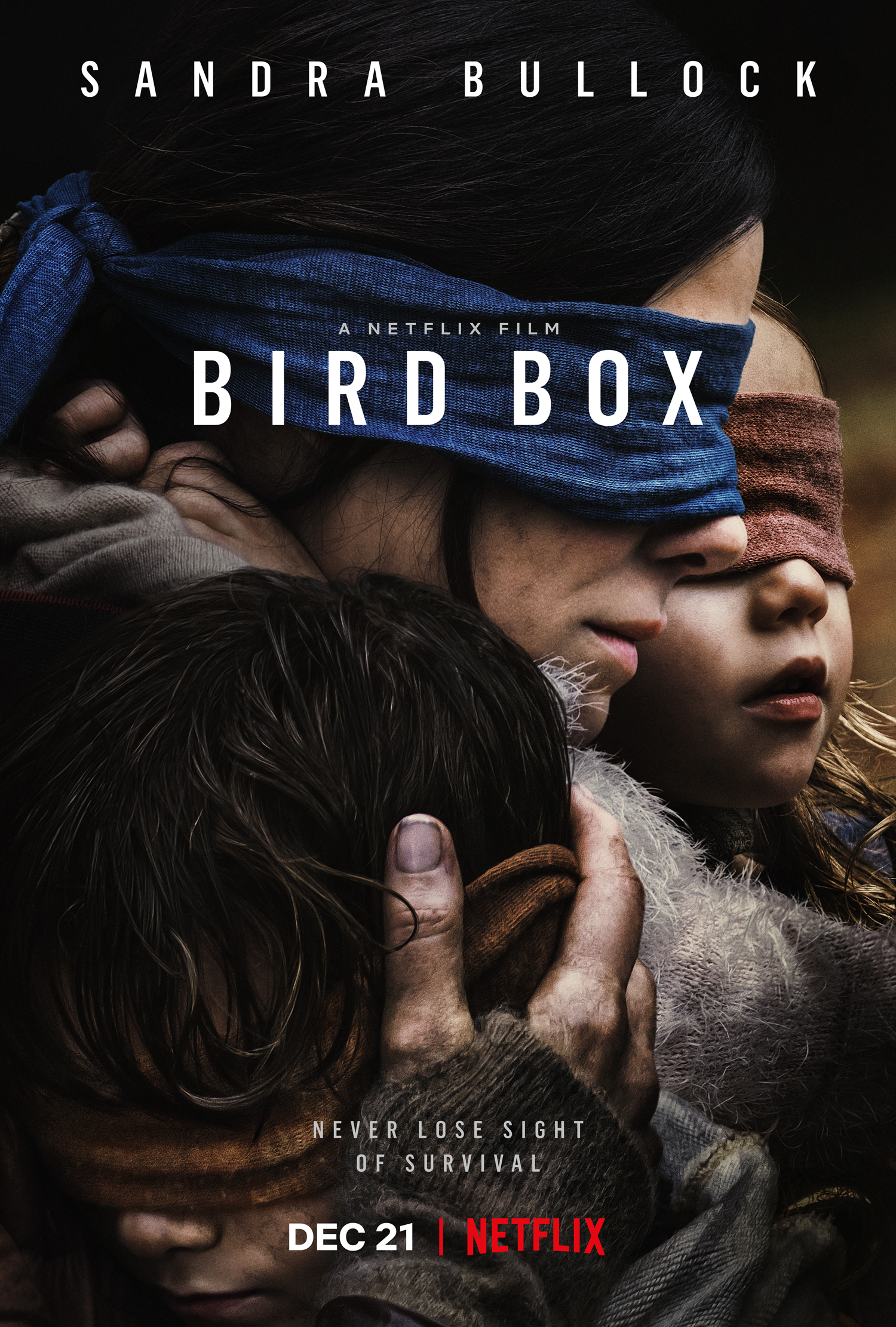 Sandra Bullock stars in new Netflix film Bird Box