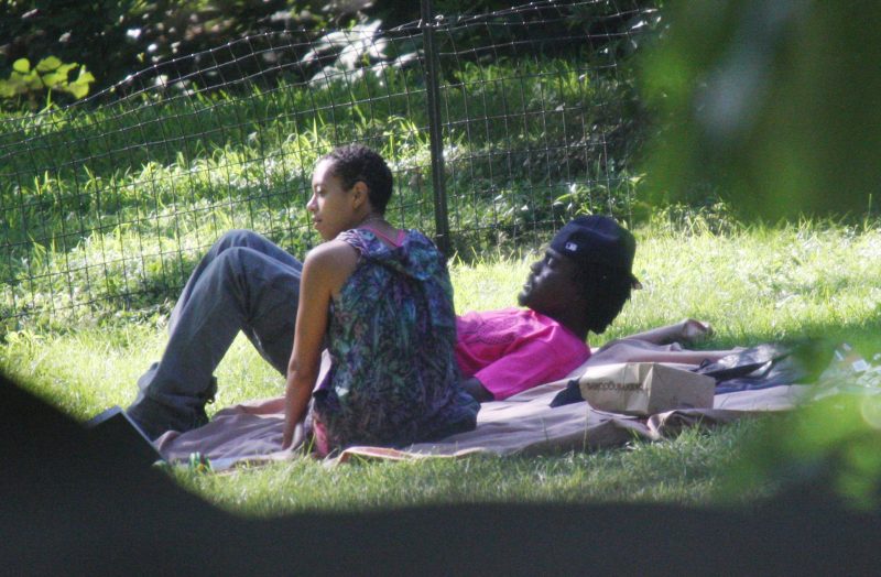 Solange Knowles Wale Folarin blanket Central Park