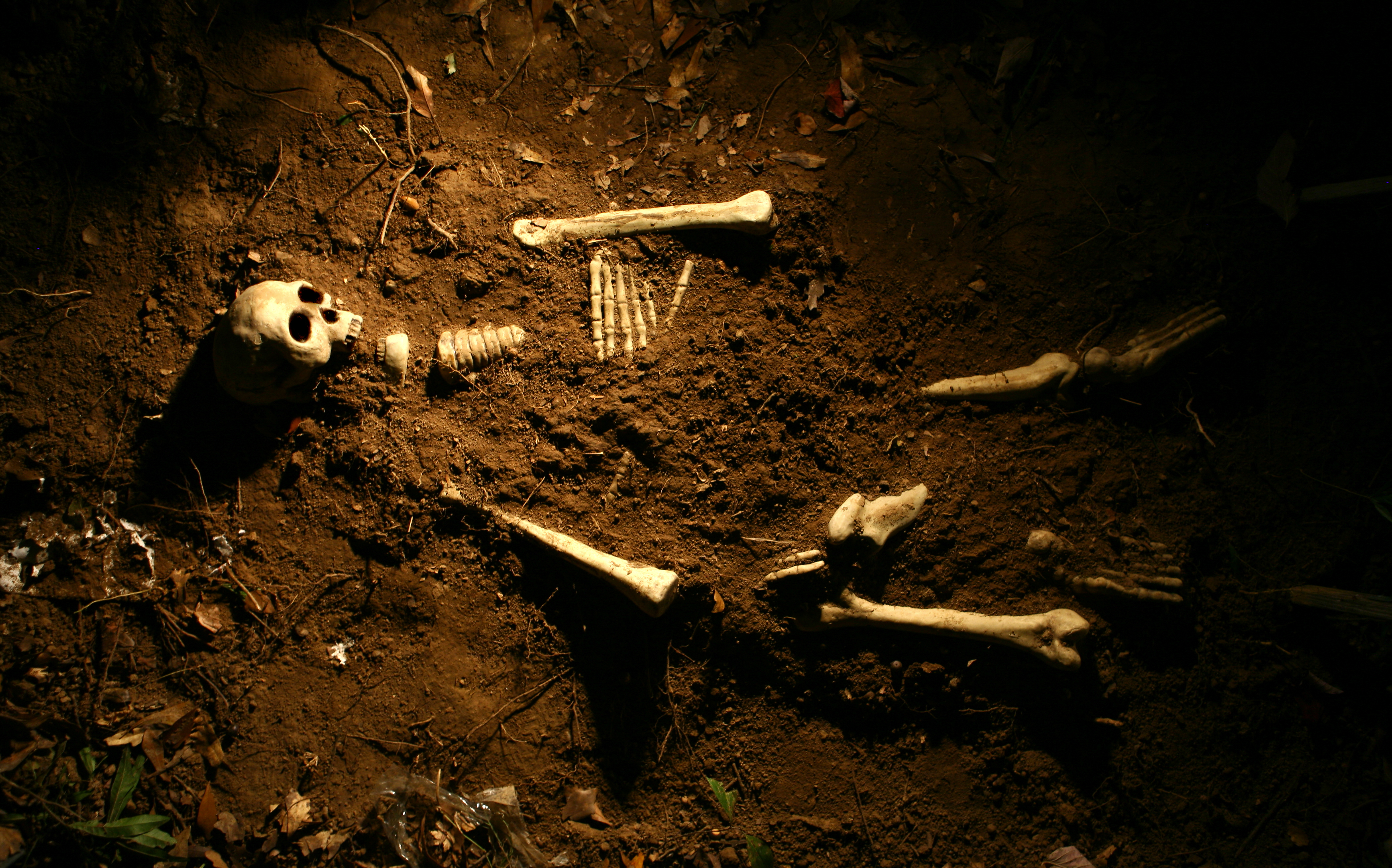 Scene of the Crime