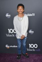 Miles Brown LOS ANGELES, CA - NOV 10: 'Black-ish' celebrates its 100th episode - Arrivals at The Walt Disney Studios in Los Angeles.