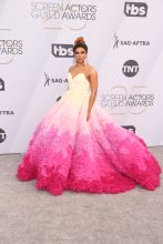 SAG Awards Red Carpet