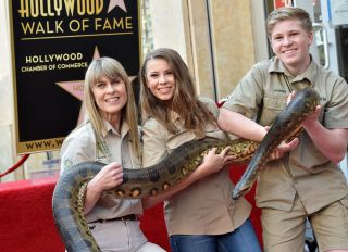 Steve Irwin Honored Posthumously With Star On The Hollywood Walk Of Fame