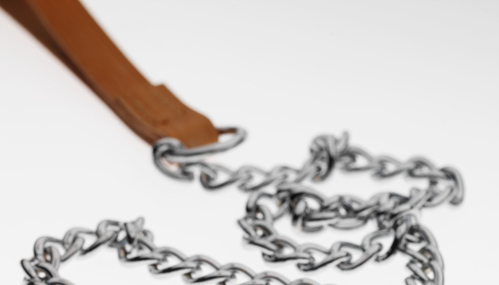 Close-up of dog leash