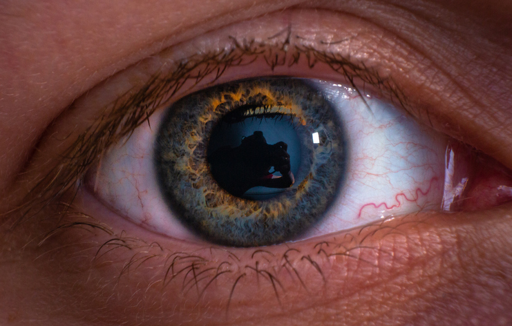 Extreme Close-Up Portrait Of Human Eye