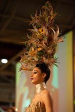 2019 Bronner Bros. Spring Show in New Orleans