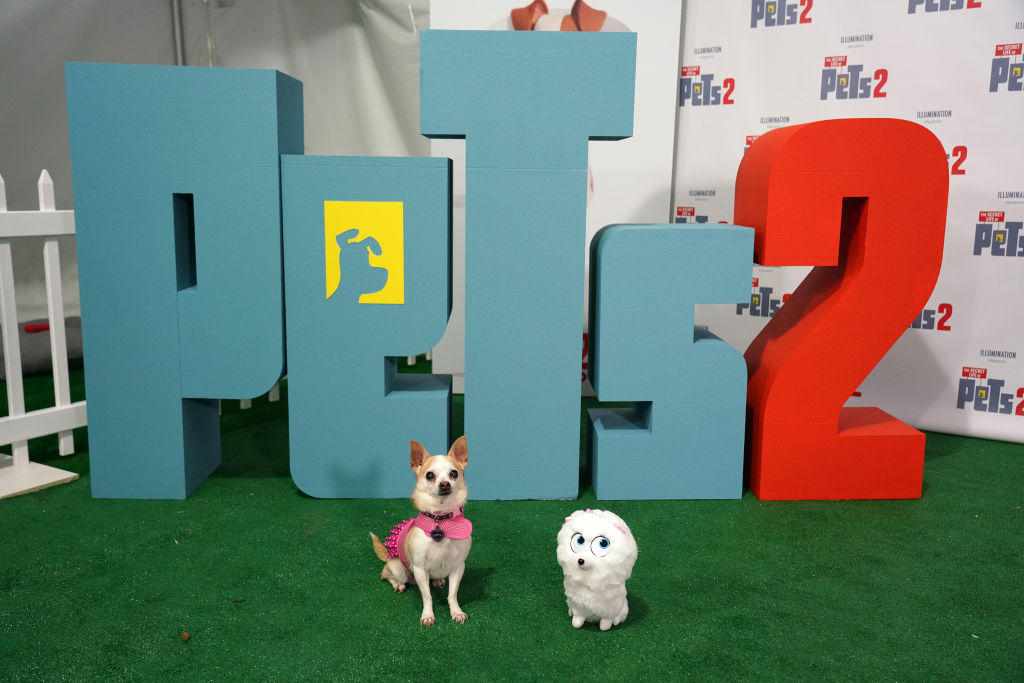 Secret Life Of Pets 2