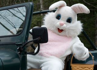 The Easter Bunny celebrates the holiday in his antique jeep.