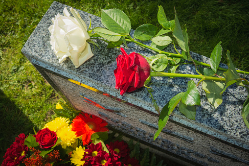 White And Red Rose On Tombstone