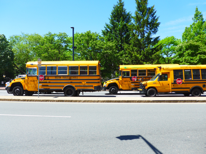 School Buses On Road Against Trees In City