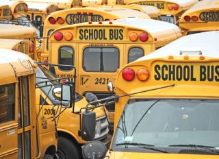 Full Frame Shot Of School Buses In City