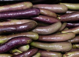 Varieties of Eggplant As A Background