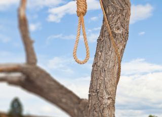 Hangman Noose in a Tree