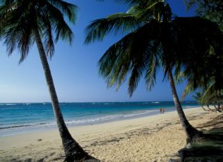 New York Man Dies While Vacationing In Dominican Republic