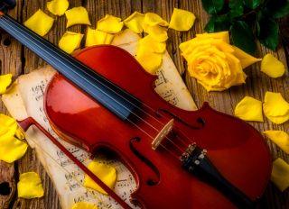Violin And Yellow Roses