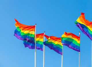 Rainbow flags against sky