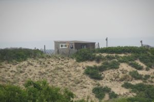 Cape Cod National Seashore