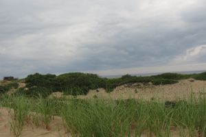 Cape Cod National Seashore