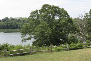 Cape Cod National Seashore