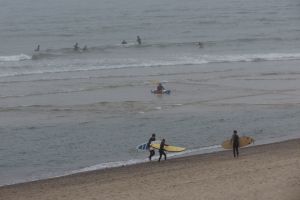 Cape Cod National Seashore