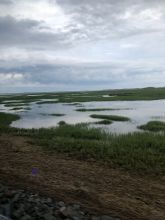 Cape Cod National Seashore
