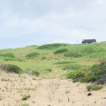 Cape Cod National Seashore