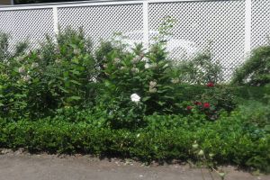 Boston Harbor Islands