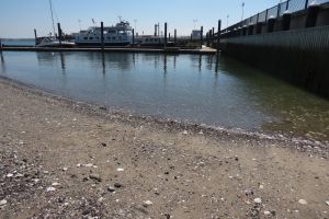 Boston Harbor Islands